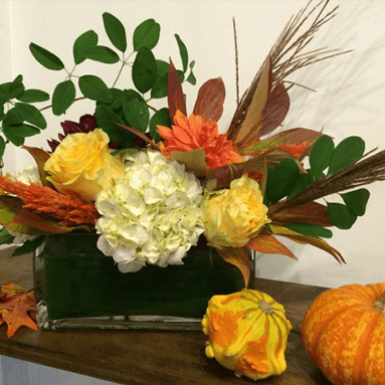 Image for Blog Post - Be Thankful