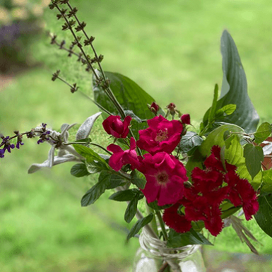 Image for Blog Post - American Flowers Week