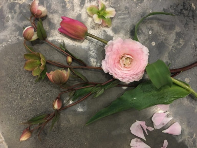 Image for Blog Post - Milestones for Juniper Flowers