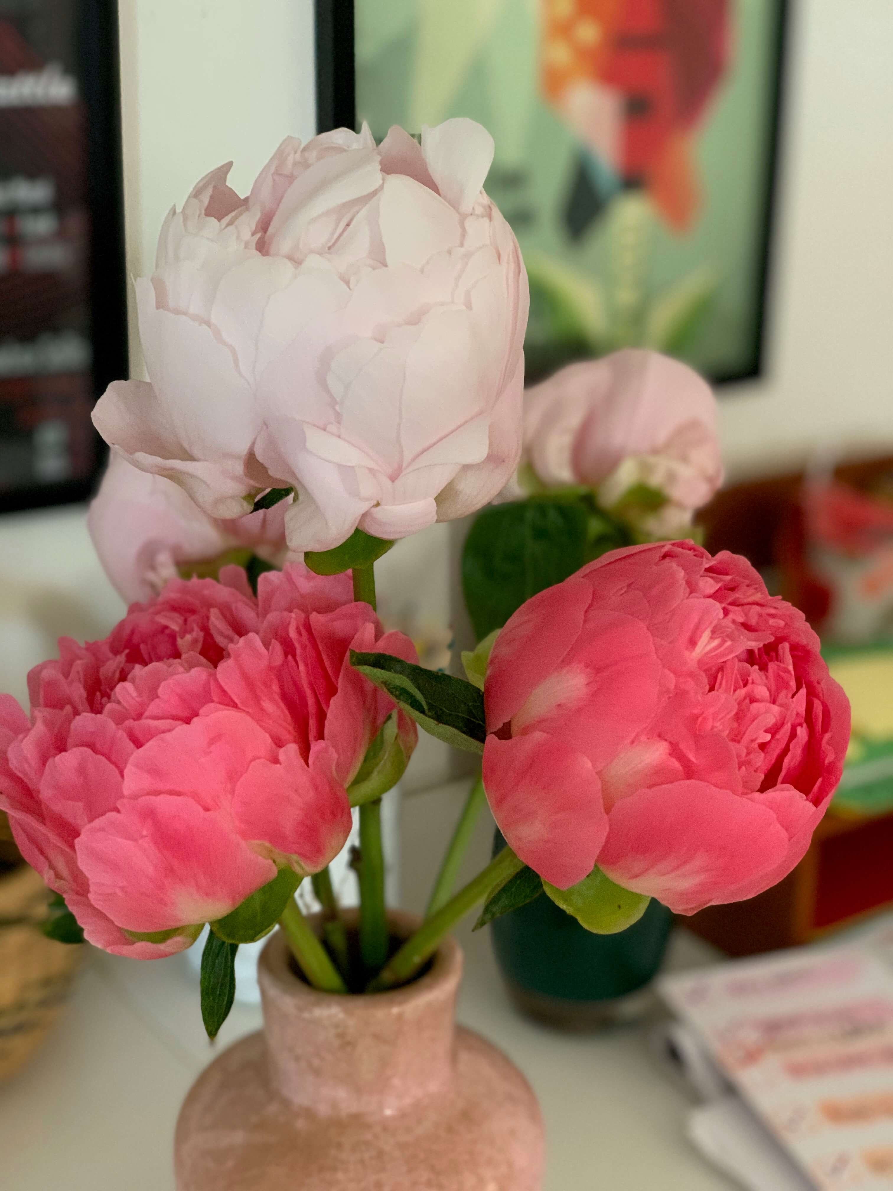 Bundle of all one flower type, PEONIES!