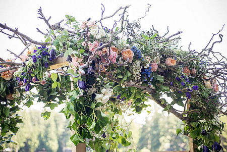 C 180616_0202_HARROLD_optimized smaller