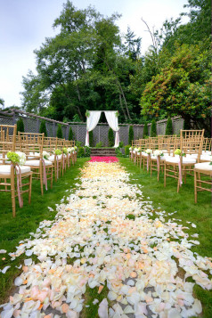 D JEAN MARCUS PHOTO 06-19-14-10.08.50_optimized smaller