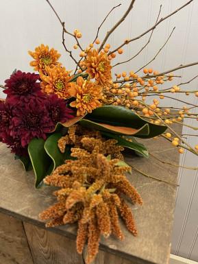 Image for Blog Post - Hardy Flowers and Foliage