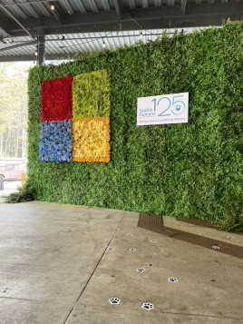 microsoft seattle humane flower wall