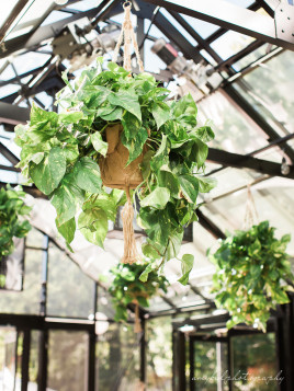 170729_FRAUNHOFFER_348