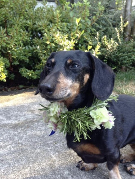 7F5FE9C2-D35D-48BF-8379-1E5B1D701C42_1_105_c